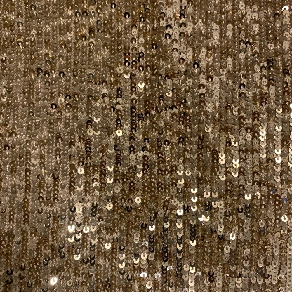 Ann Taylor Ethereal Gold Sequence Tank Cami Size Large - Picture 4 of 11